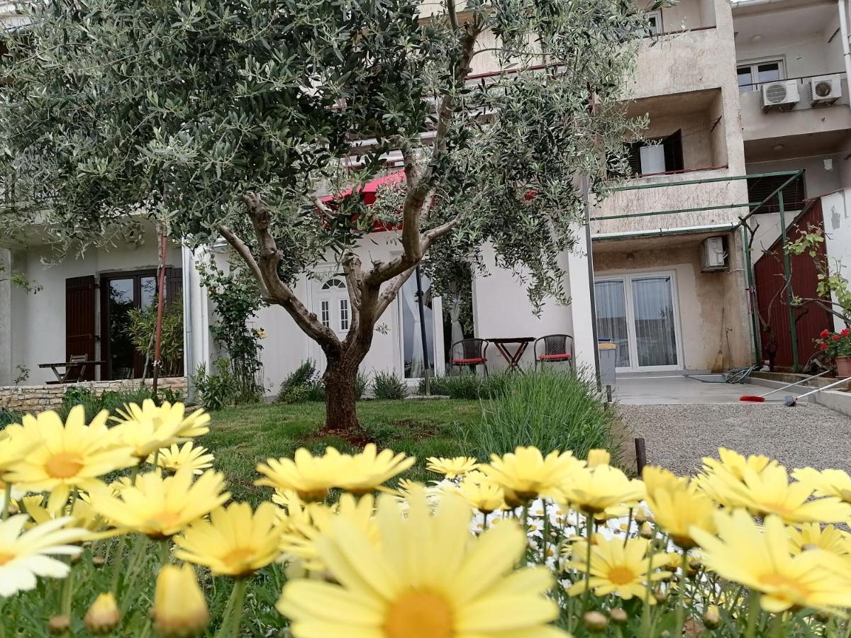 Leona Apartment Vidikovac, PUY מראה חיצוני תמונה