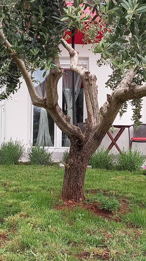 Leona Apartment Vidikovac, PUY מראה חיצוני תמונה