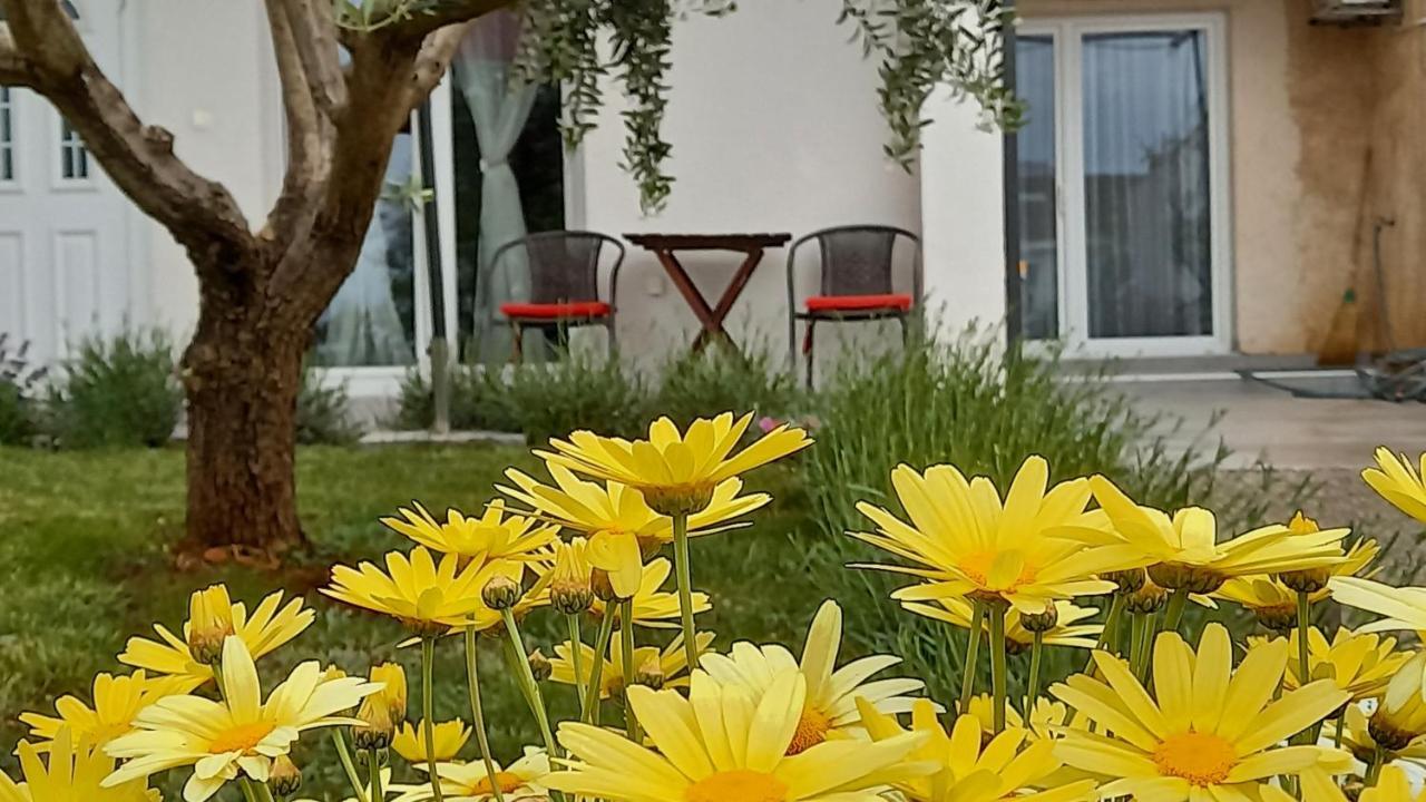 Leona Apartment Vidikovac, PUY מראה חיצוני תמונה